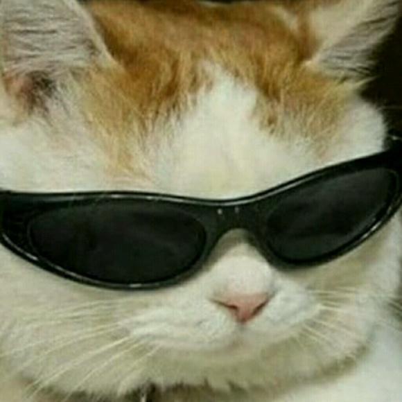 gutshallpreston